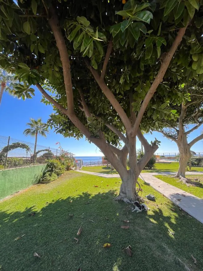 Apartment Studio On The Beach Front Malaga